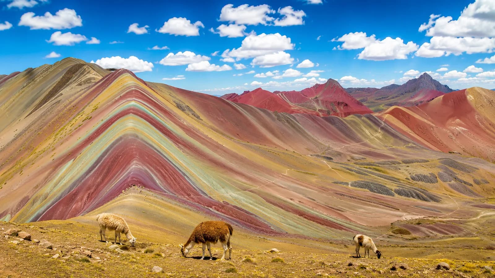 MONTAÑA DE 7 COLORES (VINICUNCA)